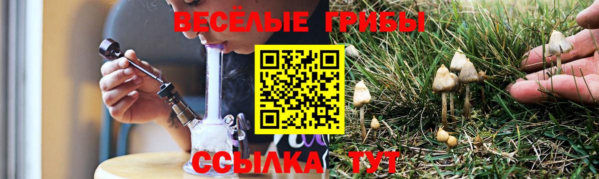 Псилоцибиновые грибы MAGIC MUSHROOMS Улан-Удэ